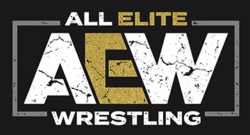 AEW Wrestling Presale Code Logo