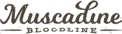 Muscadine-Bloodline-presale-code-Logo