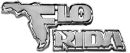Flo-Rida-presale-code-Logo