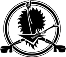 Hairball Presale Code Logo